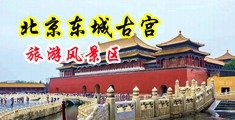 黑人肏美女中国北京-东城古宫旅游风景区